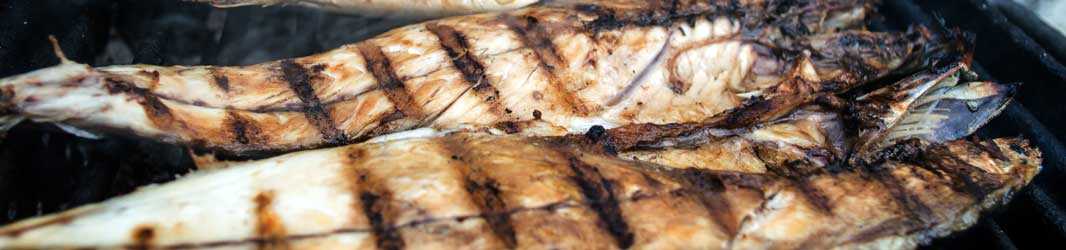 Delikatessen aus dem Meer